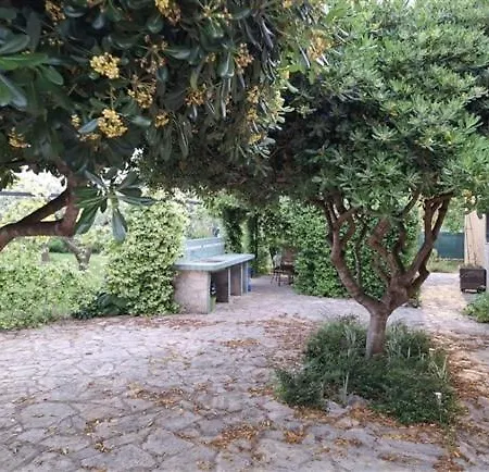 Jasmin Guest house 3*
